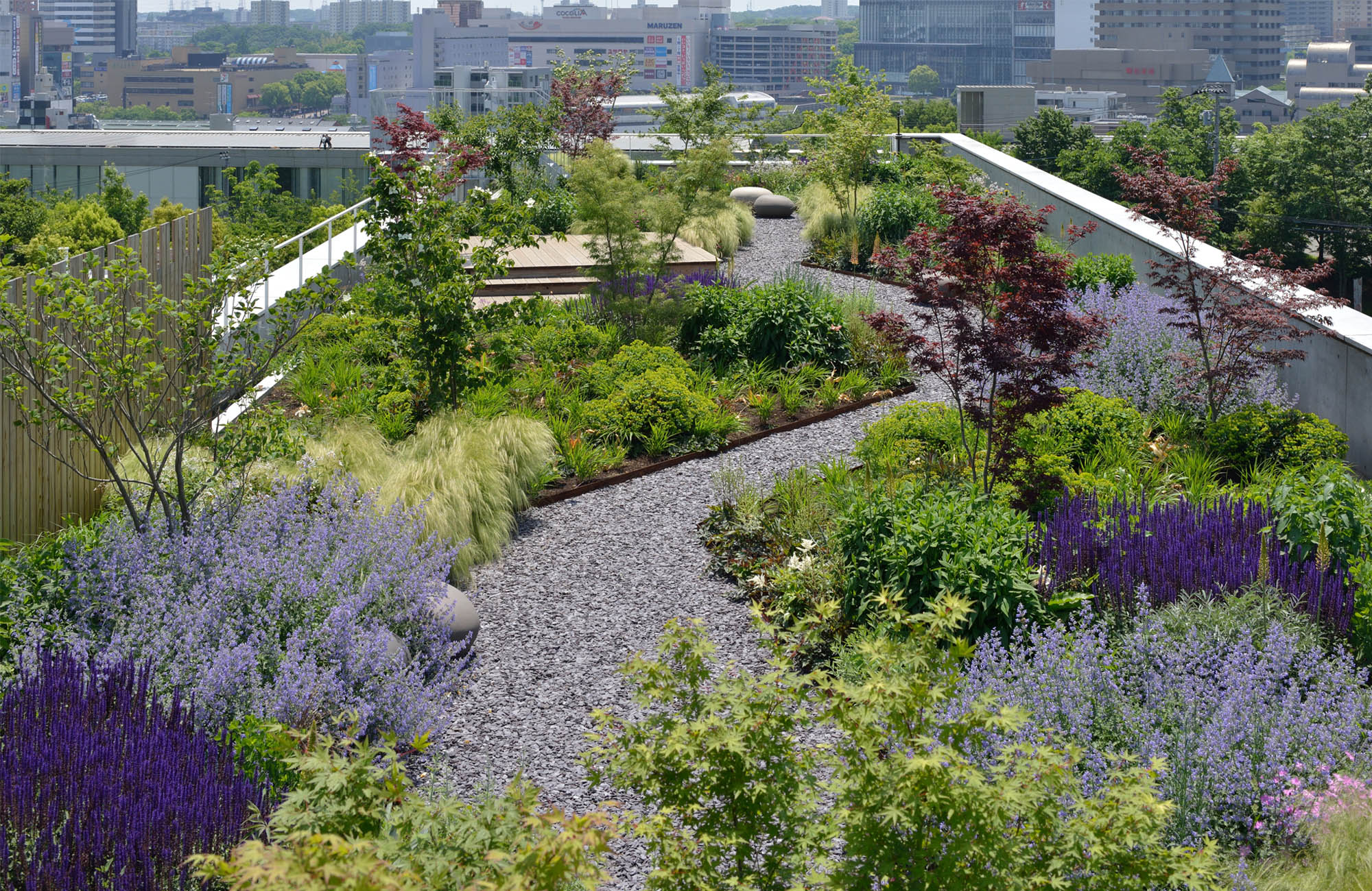 Green Wise Headquarters Roof Garden | SITES