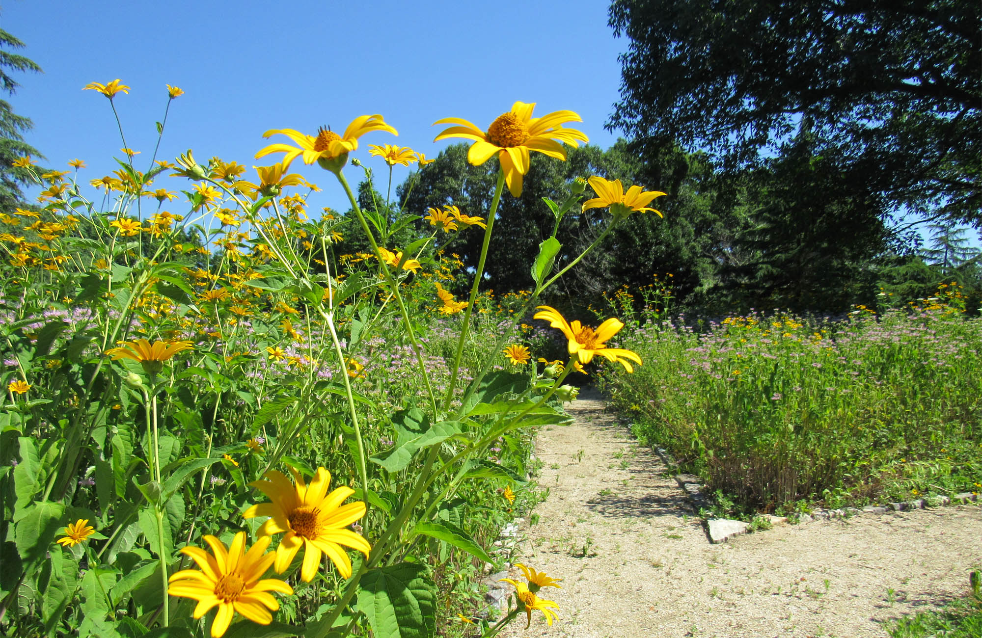 West Laurel Hill S Nature Sanctuary Sites