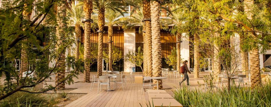 A student walks along a promenade filled with palm trees.