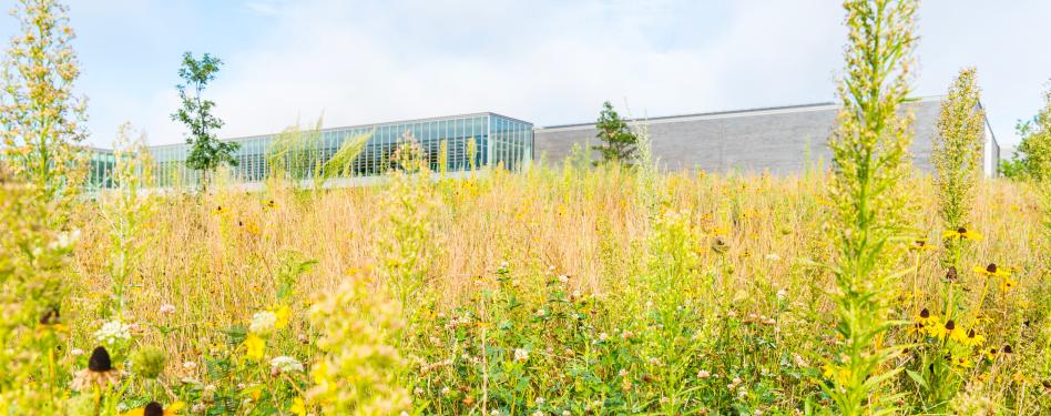 A meadow in the foreground and a long, low building in the background.