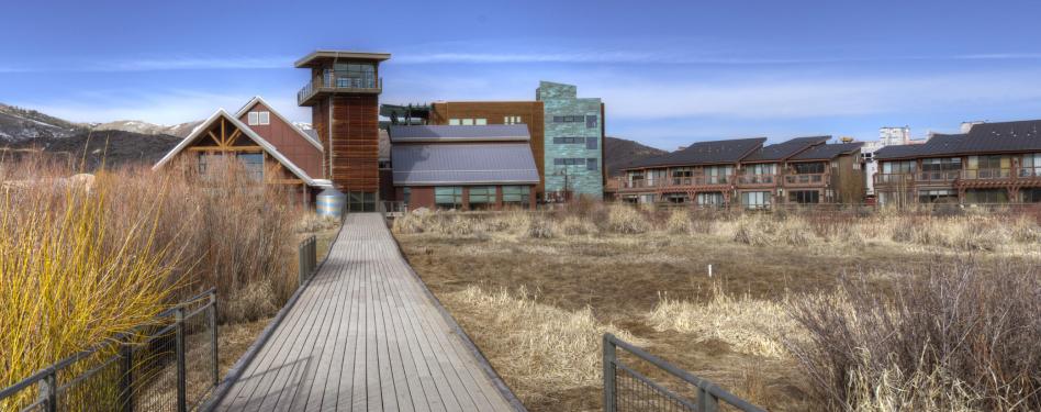 A pathway leads through grasses to a building with solar panels