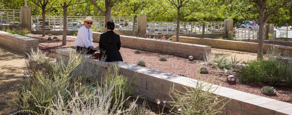 Two people sit on a bench in a landscaped area.