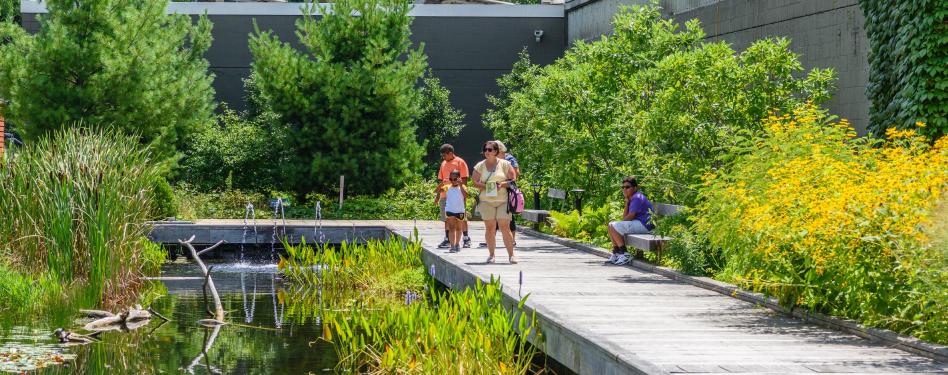 People on a boardwalk through a green marsh.