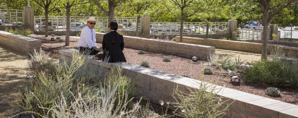 Two people sit on a bench among native landscaping.