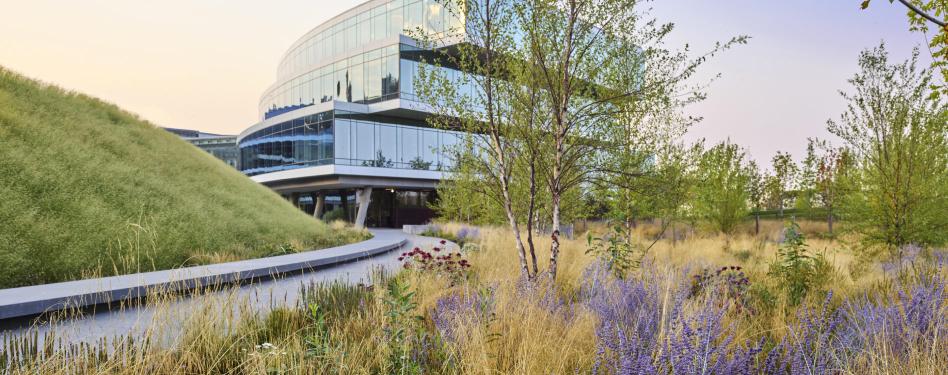 Trees and grasses in the foreground with a glass building in the background.