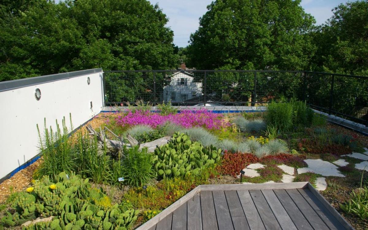 SITES | Developing Sustainable Landscapes