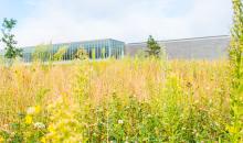A meadow in the foreground and a long, low building in the background.