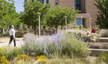 Two people walk along a sidewalk in an area surrounded by trees, flowers and grasses.