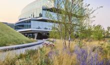 Trees and grasses in the foreground with a glass building in the background.