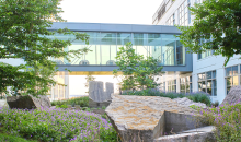 Flowers and trees between two buildings.