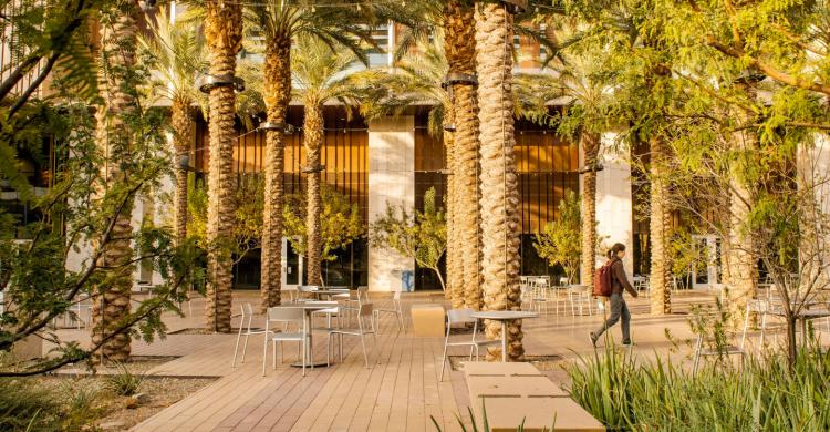 A student walks along a promenade filled with palm trees.