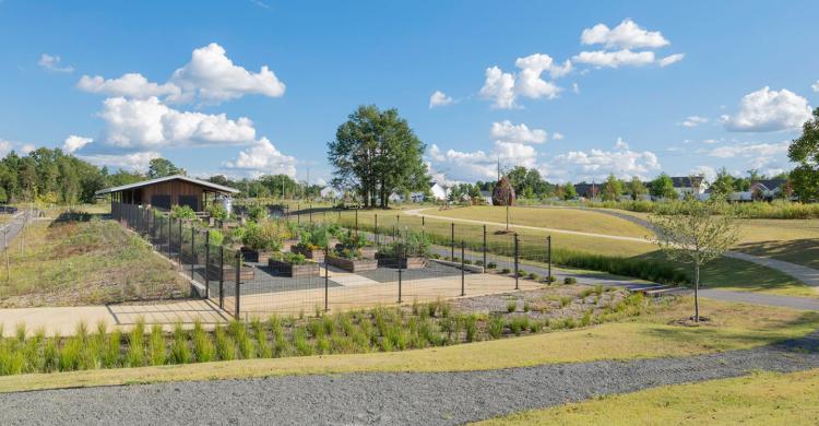 A community garden in a large park