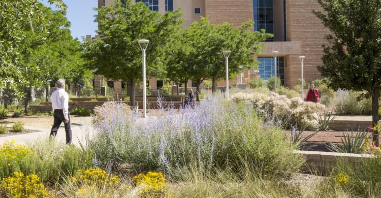 Two people walk along a sidewalk in an area surrounded by trees, flowers and grasses.