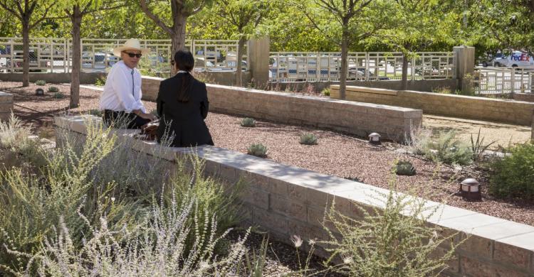 Two people sit on a bench among native landscaping.