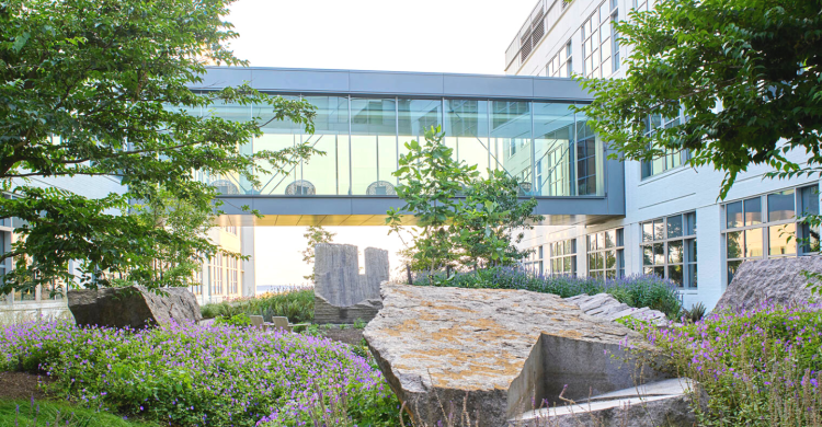 Flowers and trees between two buildings.