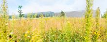 A meadow in the foreground and a long, low building in the background.