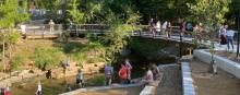 Several people in a city park with trees