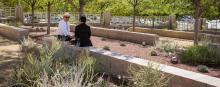 Two people sit on a bench in a landscaped area.