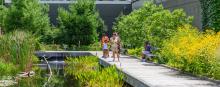 People on a boardwalk through a green marsh.